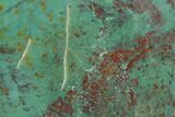 Polished Fuchsite Chert (Dragon Stone) Slab - Australia #89979-1